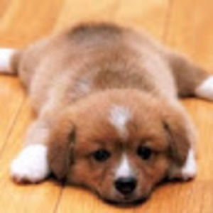 Meet your Posher, Aspen